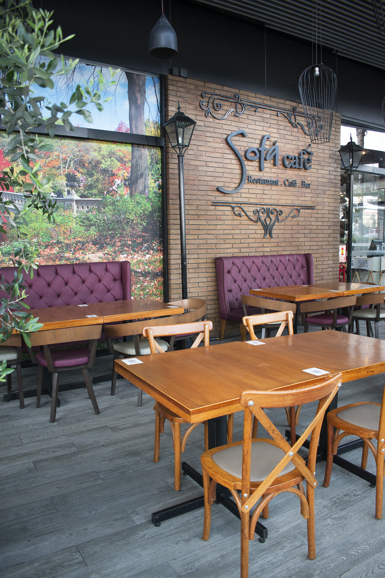 Ambiente Surco 1